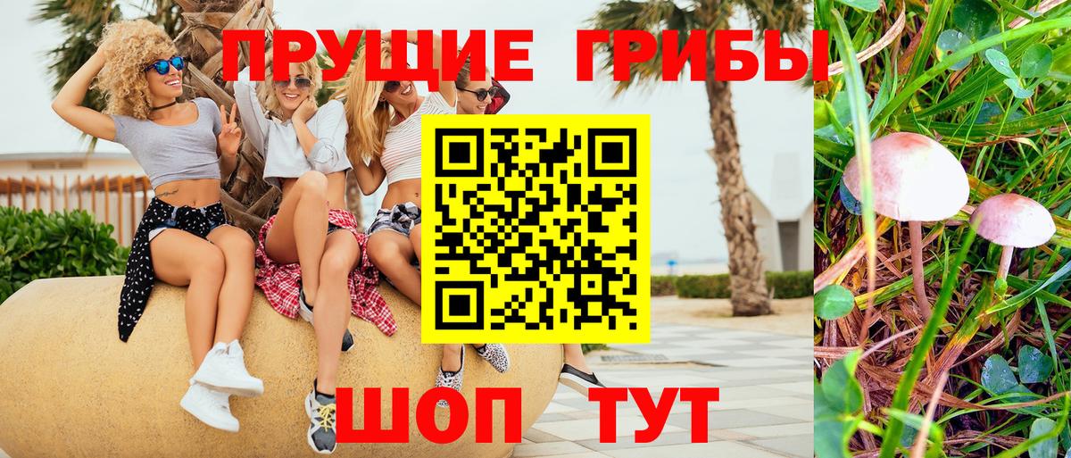 Галлюциногенные грибы Cubensis Ангарск