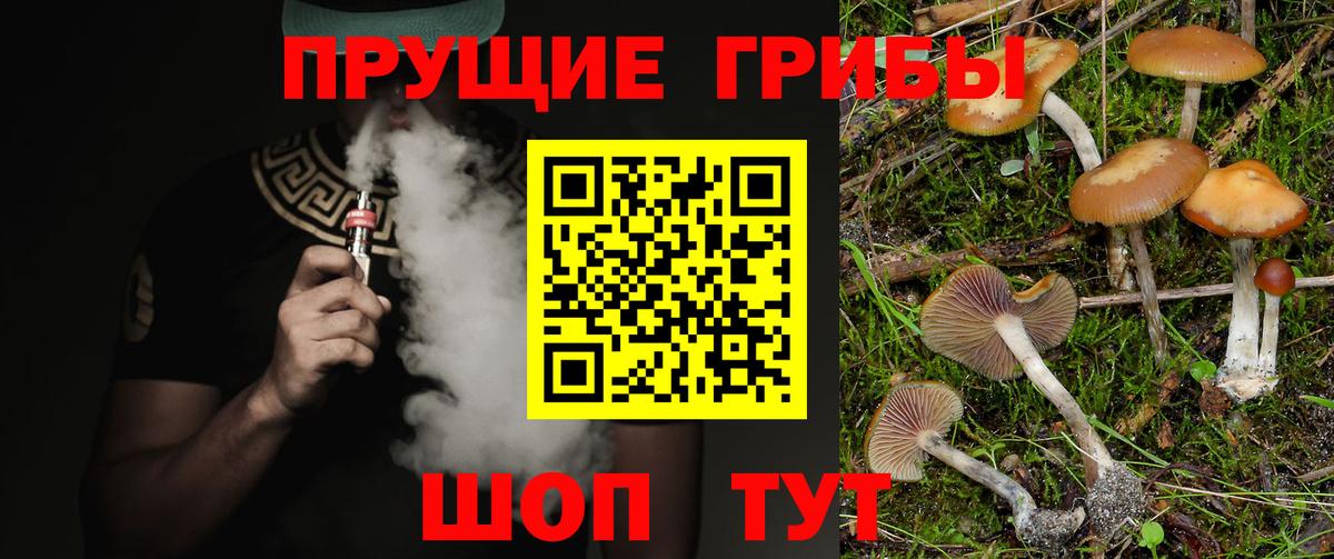 Псилоцибиновые грибы Cubensis  Вход с VPN  купить наркоту  Ангарск 